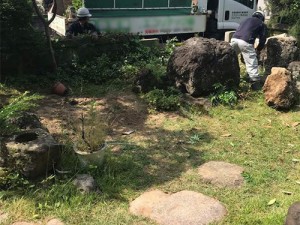 庭石の撤去